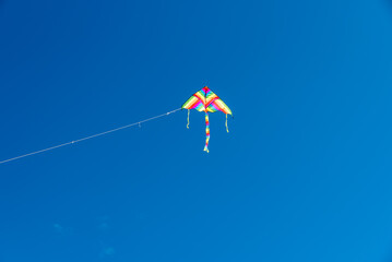 Colorful Kites flying over the sky