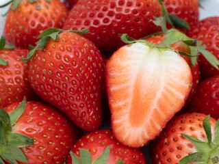 イチゴ　やよいひめ