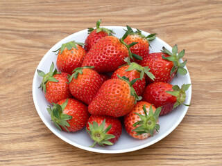 イチゴ　やよいひめ
