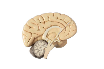 Deep brain stimulation for treatment of Parkinson's disease