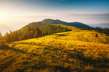 Morning sunlight illuminates the mountain ranges. Carpathian mountains, Ukraine.