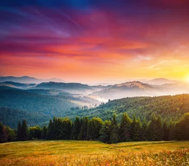 Foto op Aluminium Spectacular summer sunset scene in the mountains with perfect sky. Carpathian mountains, Ukraine. © Leonid Tit