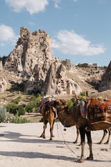 Naklejka premium Cappadocia