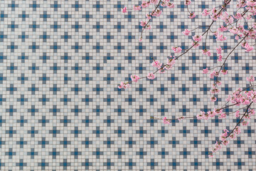 Fototapeta premium 桜の花とタイルのモザイク
