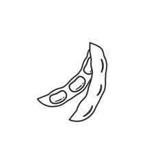 Outline soybean isolated on a white background