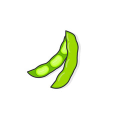 Open soybean isolated on a white background