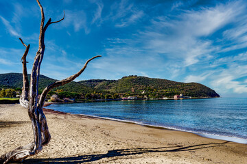 Fototapeta na wymiar In the foreground a beached log by the sea on the beach of Baratti Piombino Tuscany Italy