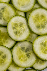 Cucumber With White Background photo