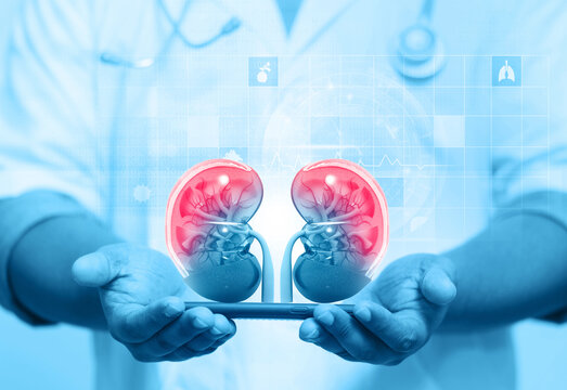 Nephrologist listens to the kidneys on medical background