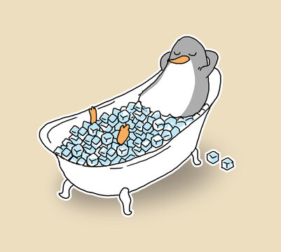 Penguen cooling in an ice bath