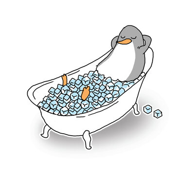 Penguen cooling in an ice bath