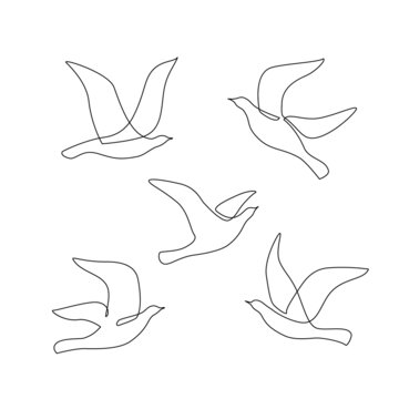 Abstract birds set continuous one line drawing.