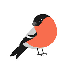 Cartoon bird. Cute bullfinch. Vector illustration for prints, clothing, packaging, stickers.