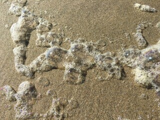 Sea Foam Necklace on the Beach