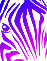 Zebra head close up poster