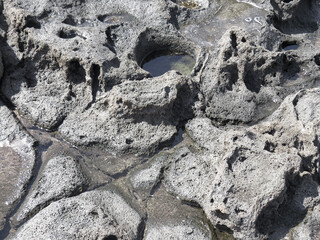 Erosión marina en rocas costeras. El Puertillo, isla de Gran Canaria, España.