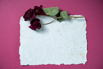 One Sheet of recycled paper with dried roses flowers. Secondary production. Making paper with your own hands at home.