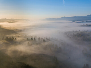 Obraz premium Morning fog in the Ukrainian Carpathians. Aerial drone view.