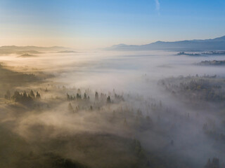 Morning fog in the Ukrainian Carpathians. Aerial drone view.