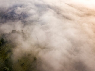 Morning mist in Ukrainian Carpathian mountains. Aerial drone view.
