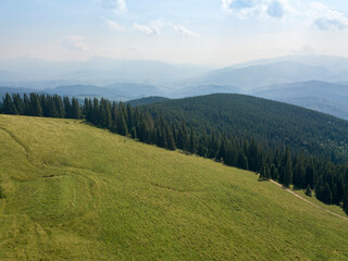 Fototapeta premium Green mountains of Ukrainian Carpathians in summer. Sunny day, rare clouds. Aerial drone view.