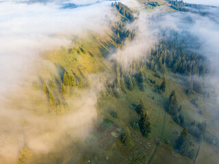 Fog envelops the mountain forest. The rays of the rising sun break through the fog. Aerial drone view.