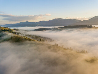 Sunny morning in the foggy Carpathians. A thick layer of fog covers the mountains. Aerial drone view.