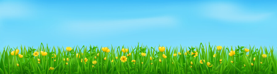 Green grass with yellow flowers, summer or spring meadow. Vector realistic background of floral lawn or field with plants and blossoms. Grassland landscape with flowers and blue sky with clouds