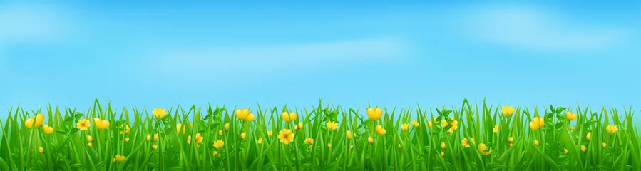 Foto op Aluminium Green grass with yellow flowers, summer or spring meadow. Vector realistic background of floral lawn or field with plants and blossoms. Grassland landscape with flowers and blue sky with clouds © PollyVa