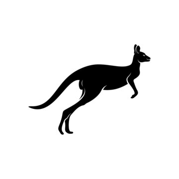 kangaroo animal silhouette icon vector illustration, creative design