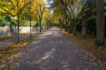 autumn in the park