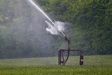 Sprinkler spraying water on grass