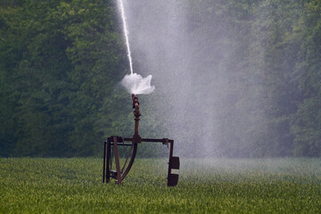 Sprinkler spraying water on grass