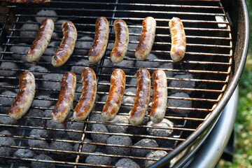 grilled meat on the grill