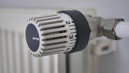 Heating costs: Radiator Thermostat 