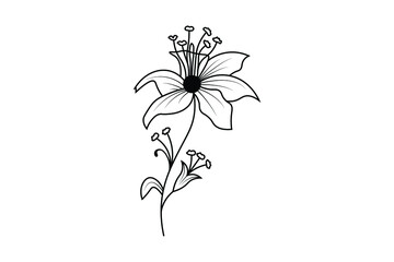 floral outline design, flower vector elements line drawing