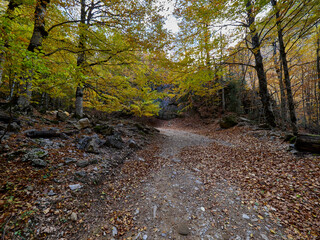 Views on the hiking trail in Ordesa National Park, Spain.