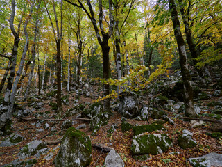 Views on the hiking trail in Ordesa National Park, Spain.