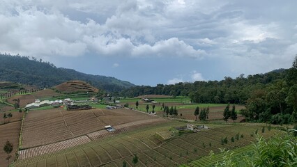 Landscape of field terraces in rural countryside 