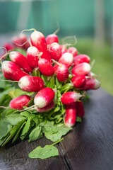 radish spring vegetable root harvest bunch of vegetables fresh healthy meal food diet snack on the table copy space food background rustic top view keto or paleo diet veggie vegan or vegetarian