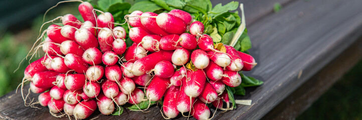 radish spring vegetable root harvest bunch of vegetables fresh healthy meal food diet snack on the table copy space food background rustic top view keto or paleo diet veggie vegan or vegetarian