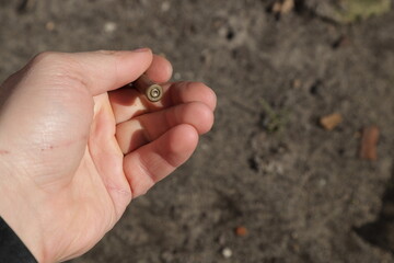 Vintage revolver cartridges in hand