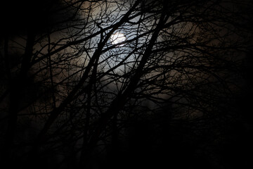 Full Moon at Midnight