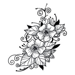 illustration lines nature flowers patterns abstract lines
