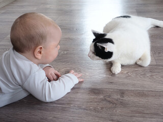 five-month-old baby lies on the floor looks at the cat pet