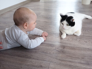 five-month-old baby lies on the floor looks at the cat pet