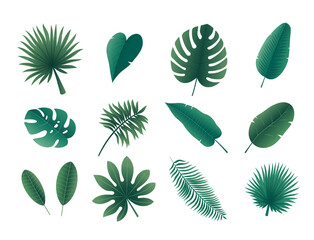 Cartoon tropic leaves. Exotic palm tree and jungle leaves floristic botanical elements. Vector set isolated on white