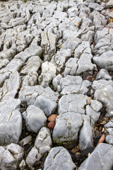 Worn rock foreshore protection