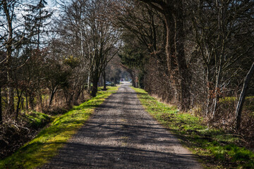 path in the park