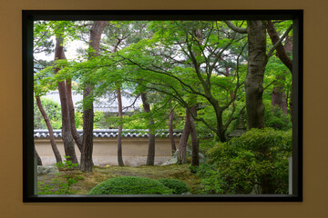 新緑が美しい日本庭園